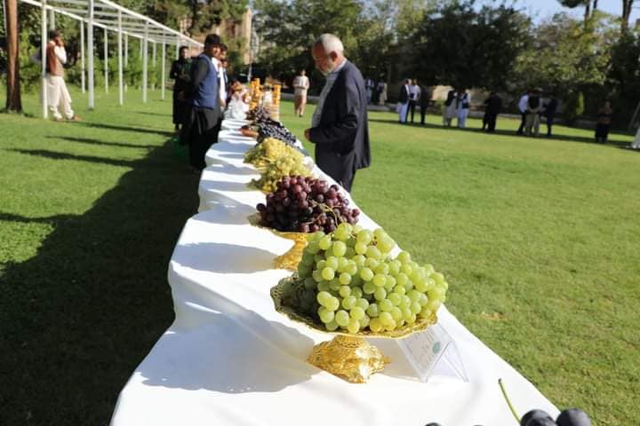 برگزاری پنج‌مین جشن‌وارۀ انگور، عسل و انجیر در هرات