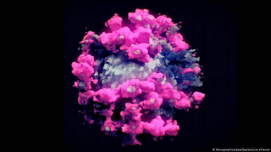 محققان موفق شدند اولین عکس سه بعدی ویروس کرونا را بگیرند