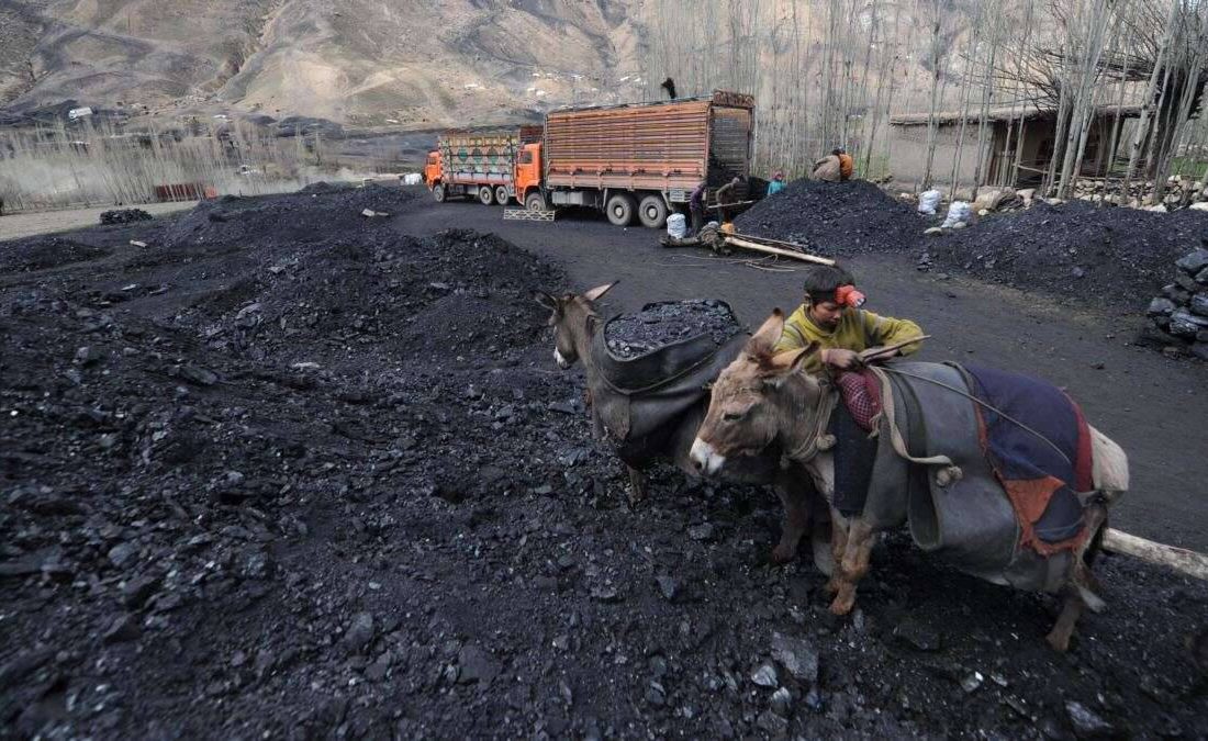 افزایش بهای زغال سنگ پیش از رسیدن زمستان