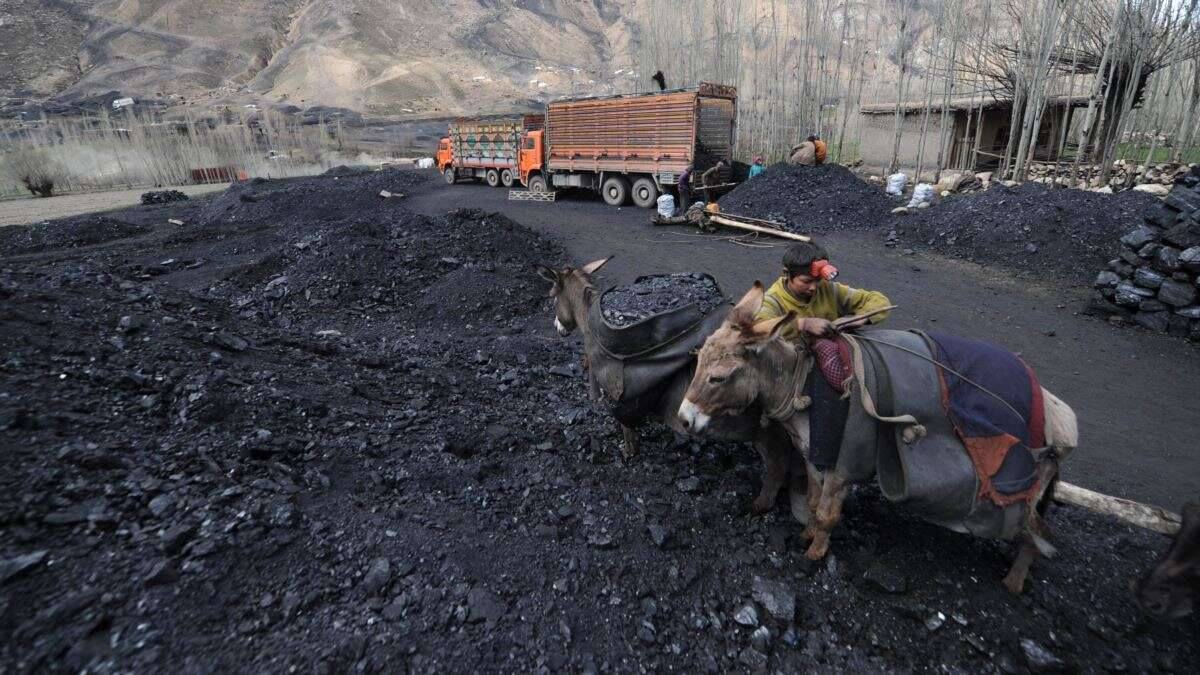 بیش از ۳۱ میلیون افغانی عواید تصدی زغال سنگ بغلان حیف و میل شده است