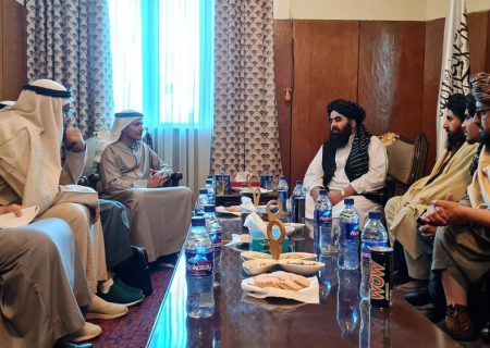 امارات متحده عربی در سکتور معارف، زراعت و بخش‌های تخنیکی افغانستان سرمایه‌گذاری می‌کند