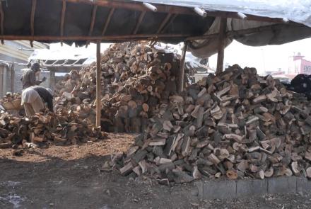 بهای بلند چوب سوخت علت استفاده بیشتر از زغال‌سنگ در کابل