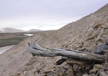 دانشمندان در گرینلند دی‌ان‌ای با قدامت دو میلیون سال را یافتند