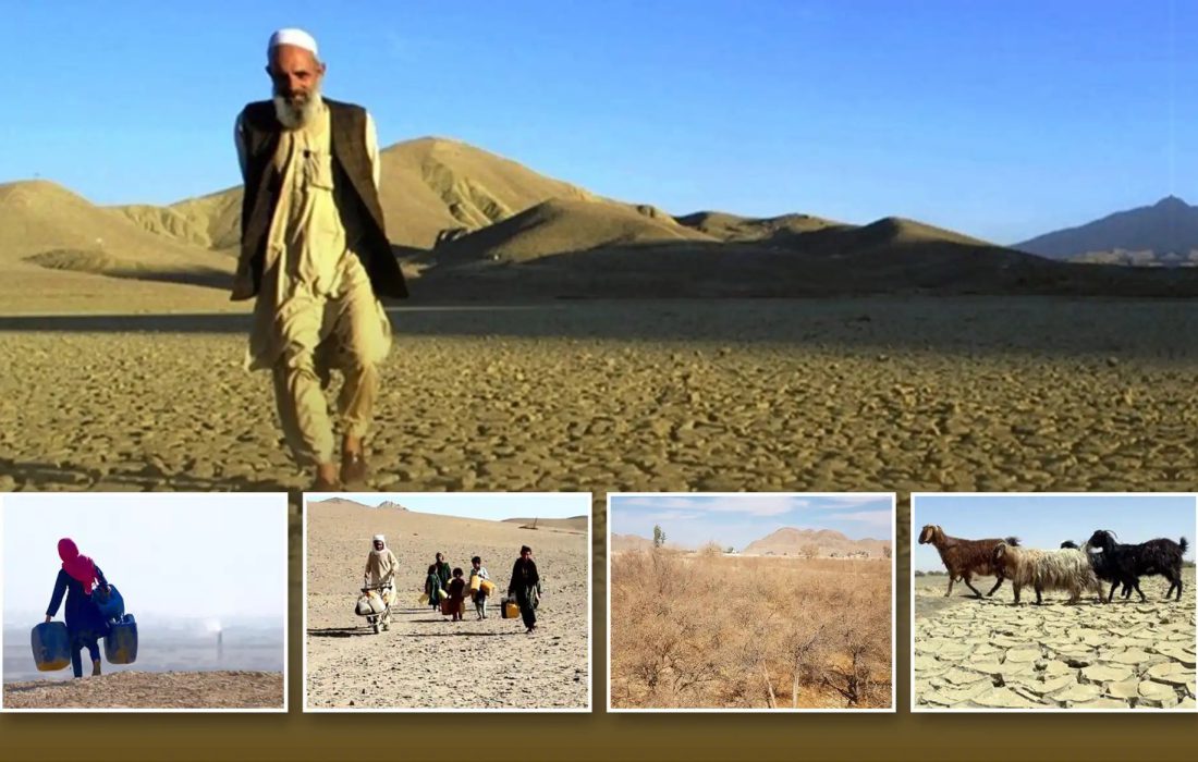 پنج سازمان جهانی نسبت به بدتر شدن شرایط اقلیمی در افغانستان هشدار دادند