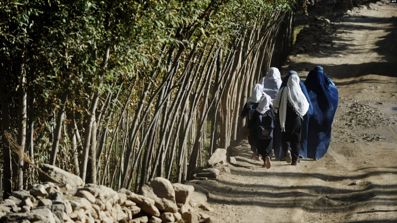 دختران در خانواده های نورستان با امکانات اندک در تلاش ادامه تحصیل اند